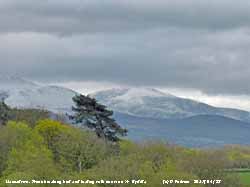 Trees were beginning to leaf with snow still on the mountains.