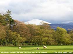 Trees beginning to leaf with a fine view of snow covered Moel Eilio.