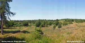 Former dune slack site habitiat of rare plant species.