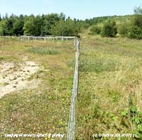 Effect of eco grazing by ponies on vegetaion cover at south pool.