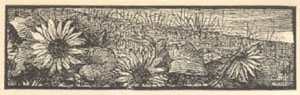 E.V.B. Drawing from page dated August 1883.