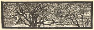 E.V.B. Drawing on page dated December 1882.