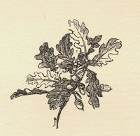 E.V.B. Drawing facing the start of the December chapter.