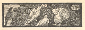 E.V.B. Drawing on page dated March 1883.
