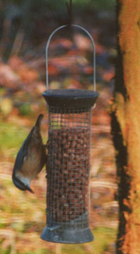 Nuthatch at the peanut feeder. © 2000 D.Perkins.