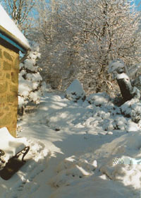 The garden under snow. Photo: &copy; 2000. D.Perkins.