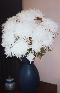 Vase of chrysanthemums 'Snowshine'.