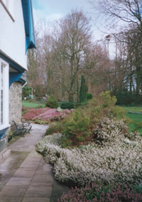 Heather border on the south side of the house 
