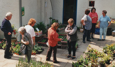 Plant Sale in progress in the garden.