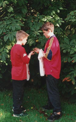 Gathering conkers. Photo: &copy; 2000 D Perkins.