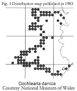 Distribution map of Cochleiria danica in Wales. National Museum of Wales 1983.