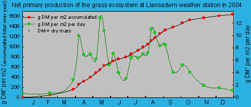 Net primary production of the grass ecosystem at Llansadwrn weather station. ' &copy; 2004 D.Perkins.