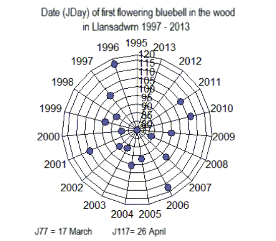 Dates of flowering of bluebell in the wood in Llansadwrn 1996-2013.