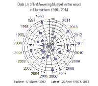 Dates of flowering of bluebell in the wood in Llansadwrn 1996-2013.