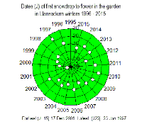 Dates of first flowering snowdrop  in the garden in Llansadwrn winter 1996-2015.