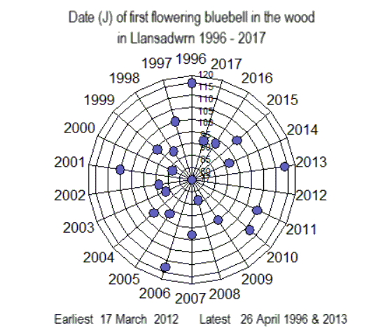 Dates of flowering of bluebell in the wood in Llansadwrn 1996-2017.
