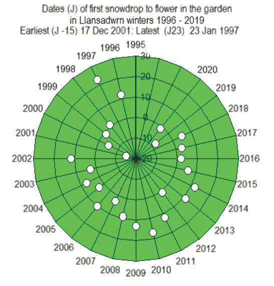 Dates of first flowering snowdrop  in the garden in Llansadwrn winters 1996-2020.