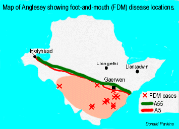 Map of Anglesey showing places affected by foot-and-mouth disease.