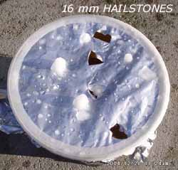 Hailstones 16 mm diameter punched holes in the hail-pad on 26 Dec 2004. Click for larger. 