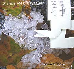 Measuring 7 mm hailstones with calipers. Click for larger. 