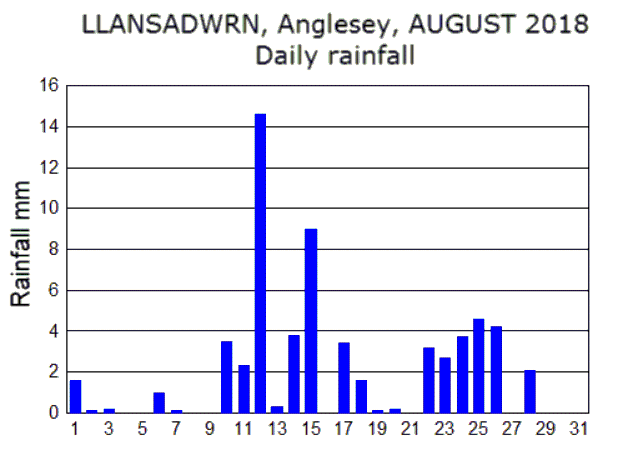 Aug_rain.gif