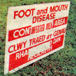 Foot-and-mouth disease warning sign on Anglesey.