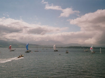 Cruising yachts running with spinnakers set in the regatta at Beaumaris on 11 August at 1000 GMT.