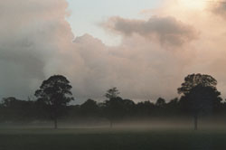 Transient mist between 0640-0700 on 12 Oct 2000: Photo © D. Perkins.