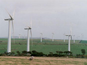 The wind-farm at Alaw, Anglesey on 22 September 2000. © D Perkins.