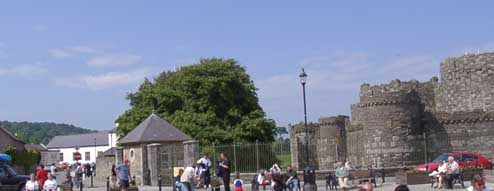 Holidaymakers enjoying a sunny afternoon near the Castle in Beaumaris on 1 June 2004. Click to see larger image. 