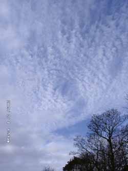 Clearance of cold front at 09 GMT on 4 March 2005. Click for larger. 