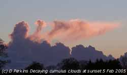 Decaying cumulus clouds at sunset. Click for larger. 