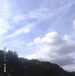 The sky at 09 GMT looking S. Click for larger. 