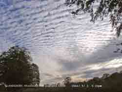 Altocumulus clouds with orographic waves and lenticular altocumulus near horizon.