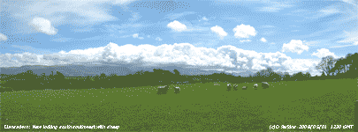 View SSW across field of sheep.