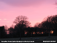 Unusual pink and purple sky colour at sunset.