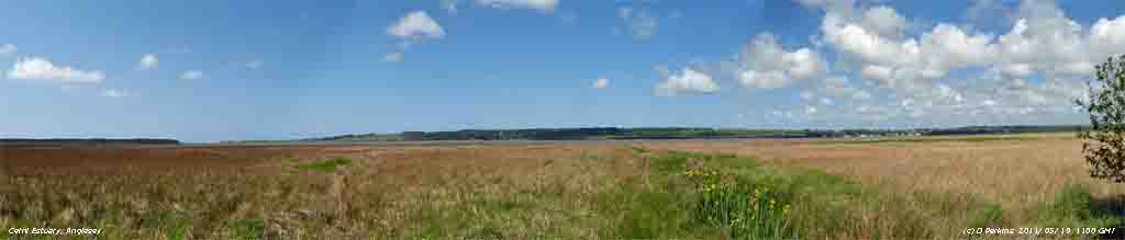 Cefni estuary from the east-bank.