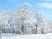 Winter in Brockville, Ontario,Canada.