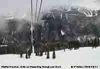 Cable car descending through pine forest at Whistler Mountain.