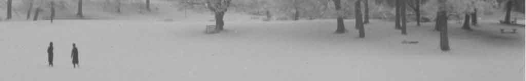 Snow in Singleton Park Swansea.