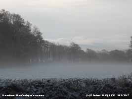 View S. Mist developed over a covering of snow.