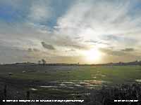 Seagulls and starlings attracted to wet filed.