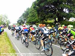 Tour of Britain Cycle Race peleton passing through Llansadwrn.