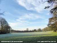 View W from the weather station.