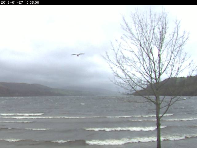 A sea shore look about Llyn Tegid courtesy of the Snowdonia National Park Authority.