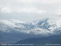 Blacthorn flowering in a Llansadwrn hedgerow with snow on the mountains.
