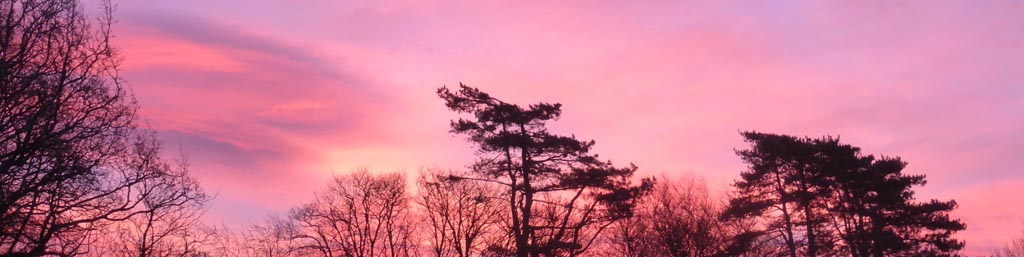 A brilliant coloured red sky on the morning of the 5 December 2019.