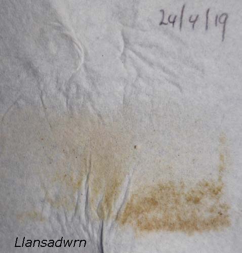 Saharan dustfall on 24 April 2019.