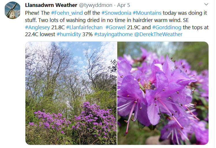 Tweet about the Foehn wind ..