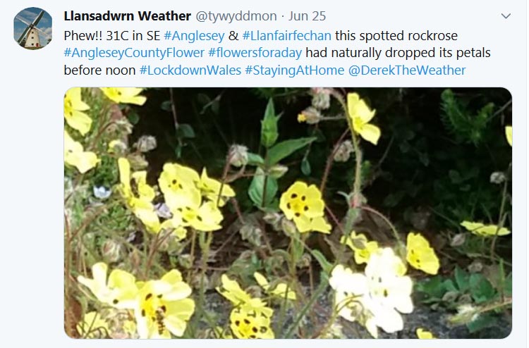 Tweet about outbreak the hot weather ...